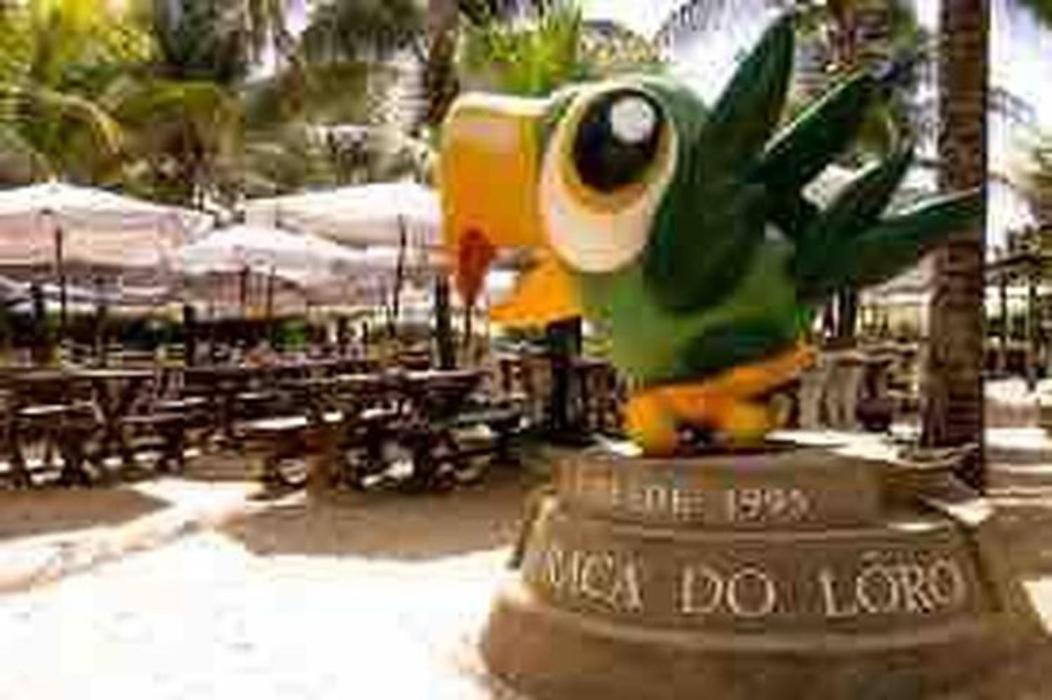 Pe Na Areia Vista Total Mar - O Paraiso E Aqui! Salvador Luaran gambar
