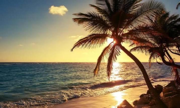 Pe Na Areia Vista Total Mar - O Paraiso E Aqui! Salvador Luaran gambar